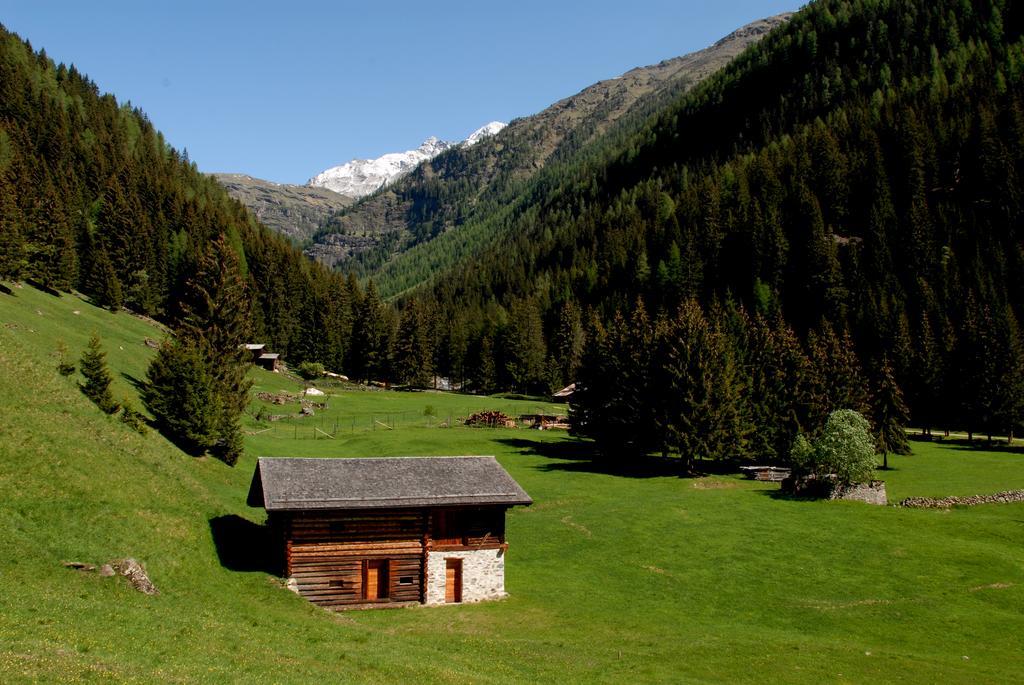 Alpen Hotel Rabbi Dış mekan fotoğraf